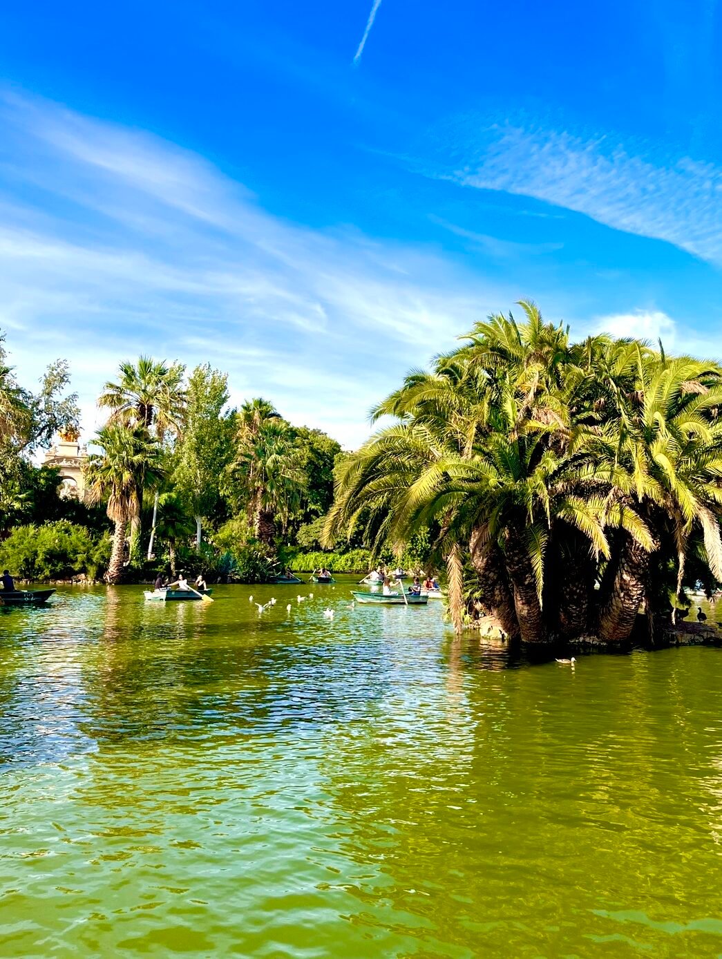 Rowing Boats in Parc de la Cuitadella