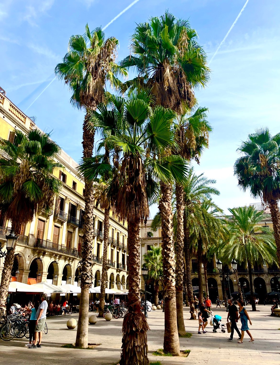 Plaça Reial in Barcelona